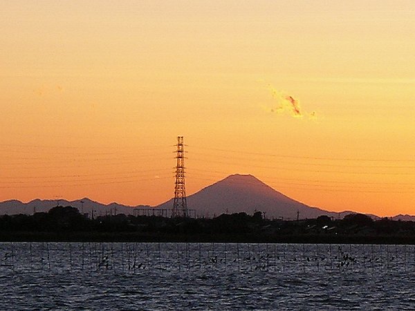 牛久沼から見た富士山